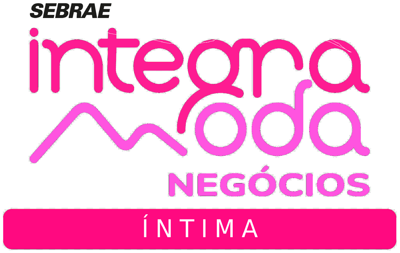 Integra Lingerie